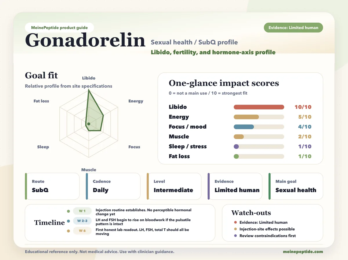 Gonadorelin Peptid-Vial · MeinePeptide