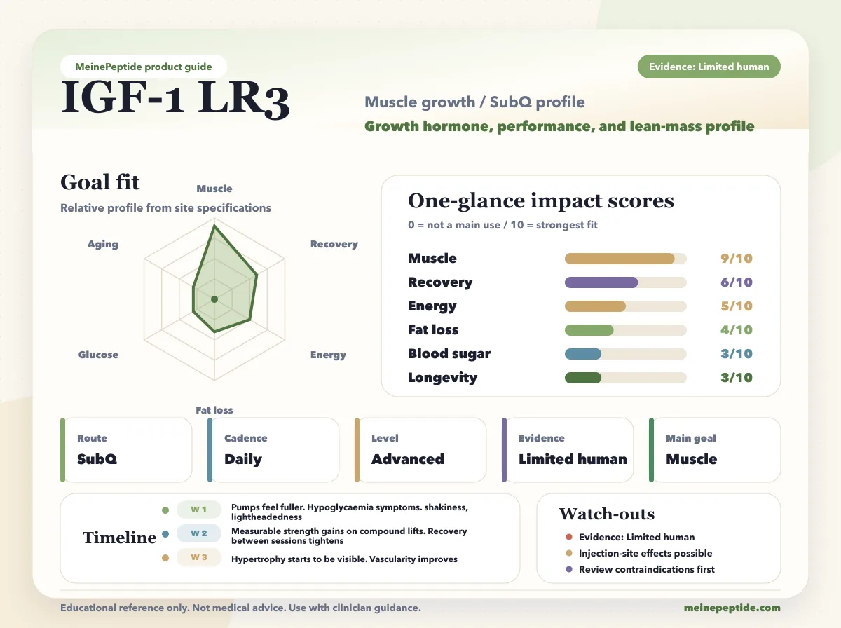 Флакон пептида IGF-1 LR3 · MeinePeptide