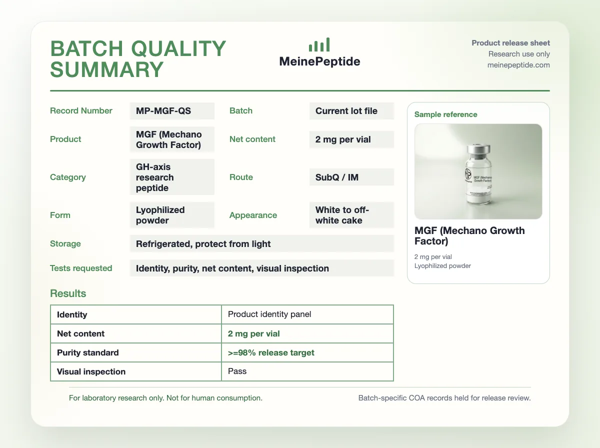 MGF (Mechano Growth Factor) peptide vial · MeinePeptide